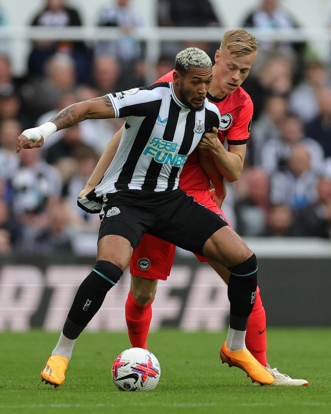 视的对手 视的对手